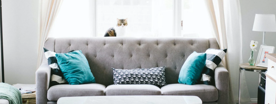 Золотые правила переезда в новый дом (Лариса Скороходова)