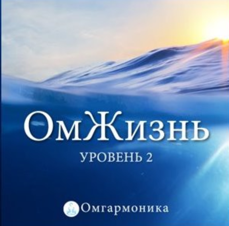 [Омгармоника] ОмЖизнь: Уровень 2