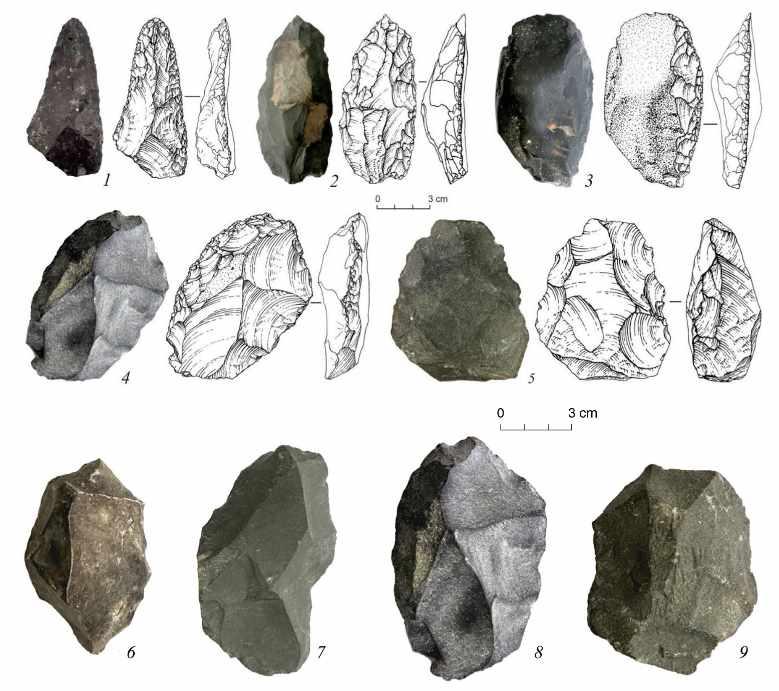 [Архэ] Открытия в эволюции за 2021 год (Александр Марков)