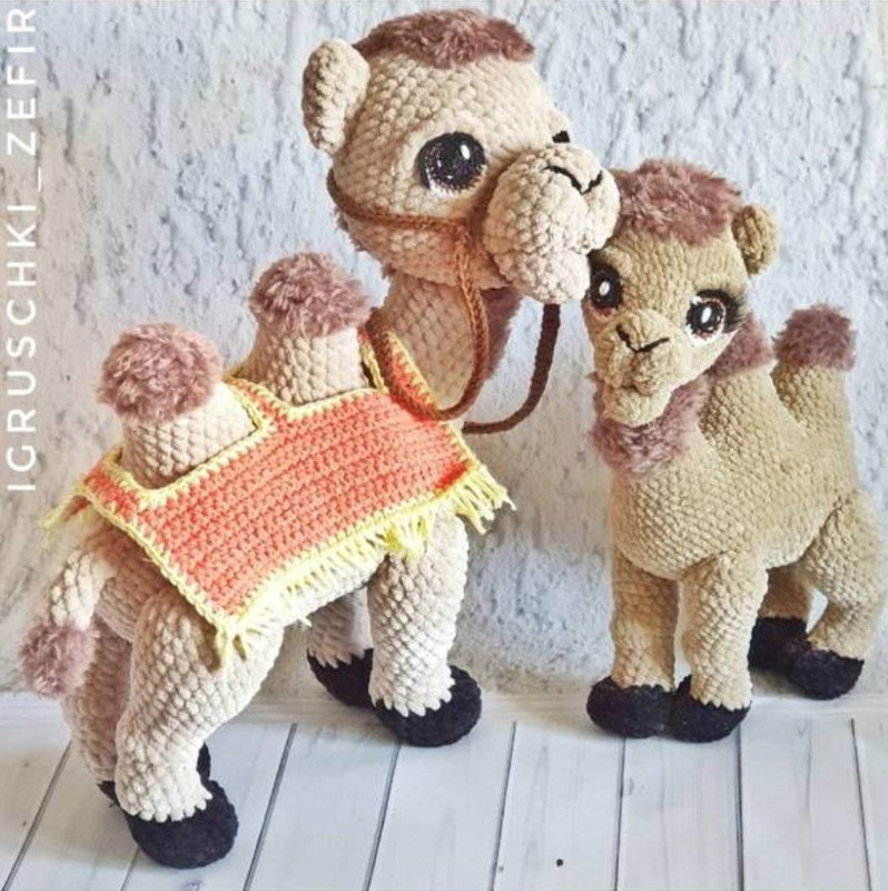 Верблюжонок (Анастасия Коновалова), фото 1 из 1.