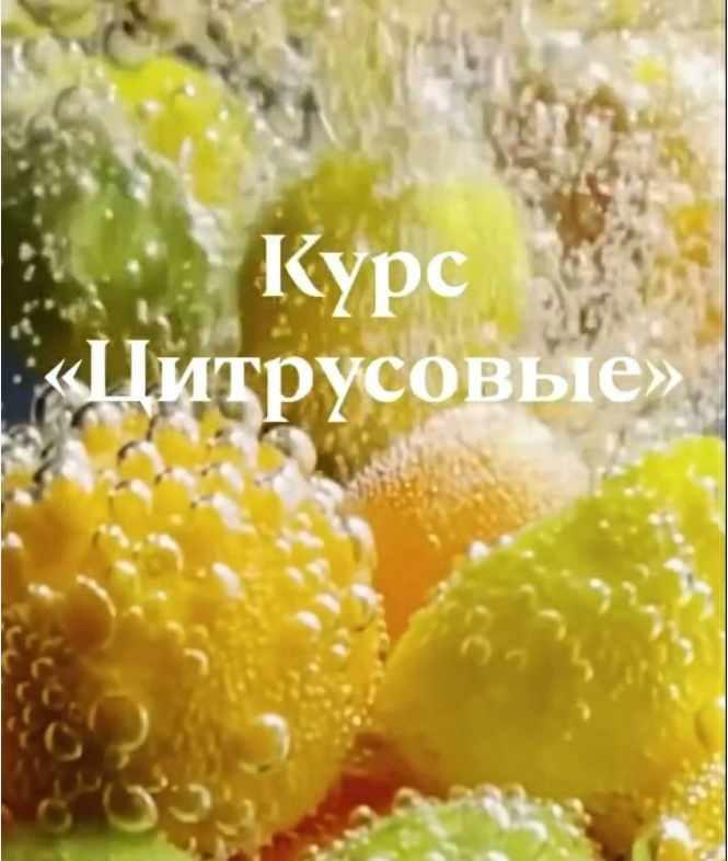 Курс Цитрусовые (ardo_miniature)