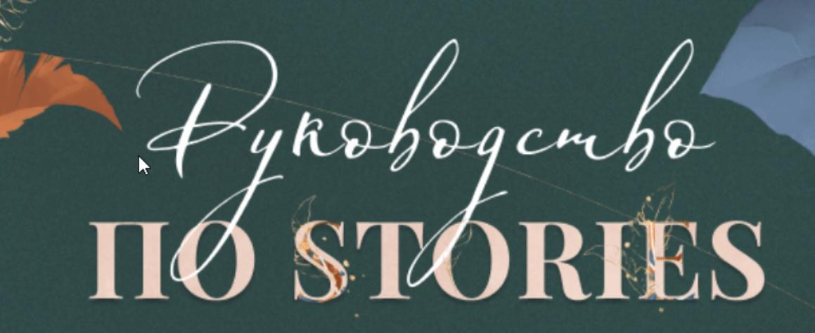 Руководство по stories. PRO-версия (Катерина Алешина)