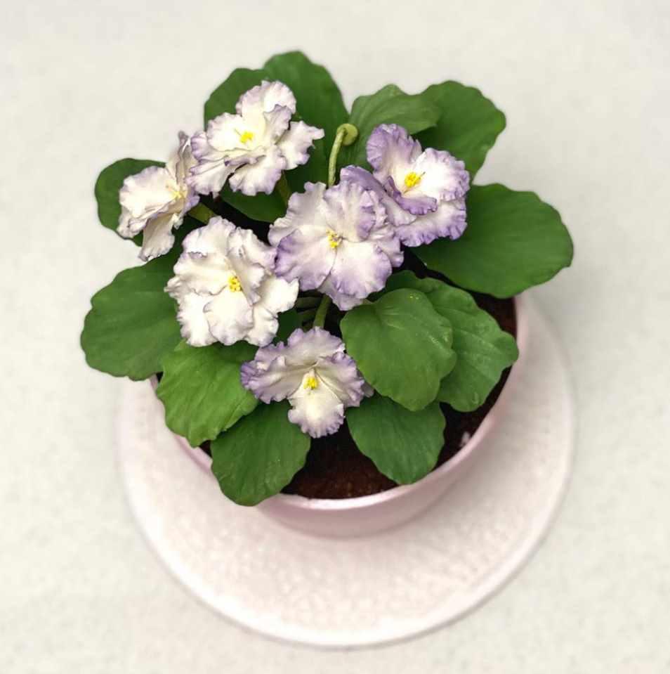 МК 3D торт "Фиалки в горшке" (Елена Сапожникова)