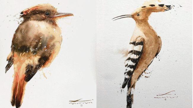 [Domestika] Акварельные птицы с яркой индивидуальностью (Леандро Нунес)
