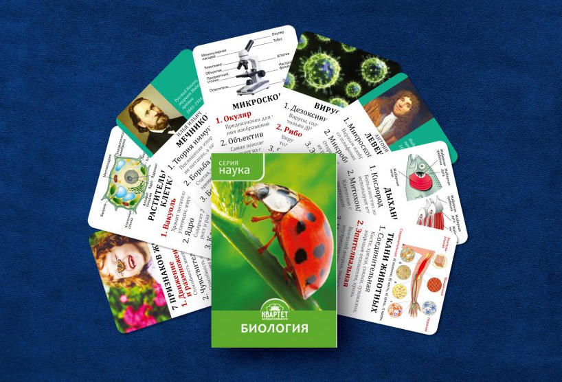 [Квартет] Игры для изучения биологии