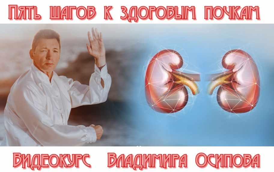 Пять шагов к здоровым почкам (Владимир Осипов)