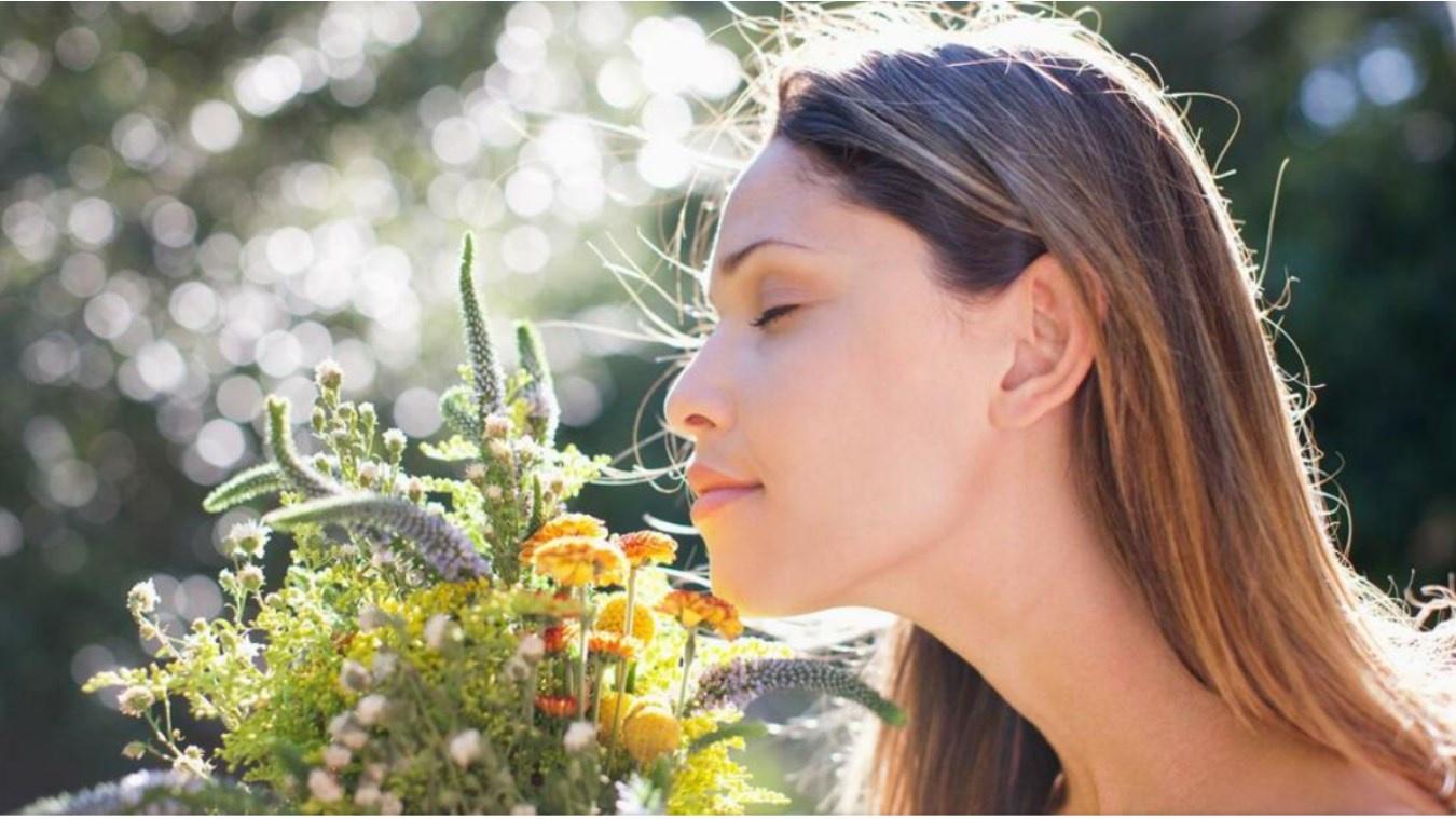 [Sigh Energy] Восстановление обоняния Мощный Плюс + 11x (Сверхсильный). Restoration of the Sense of Smell Powerful Plus +11x(Extra Strong)