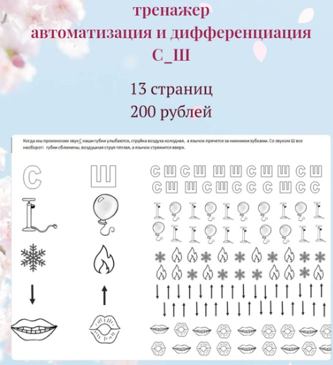 [Лукошко логопеда] Логотренажер на дифференциацию звуков С и Ш (Вероника Трофимова)