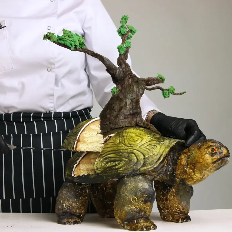 3D торт Черепаха сборка (Даяна Лус)