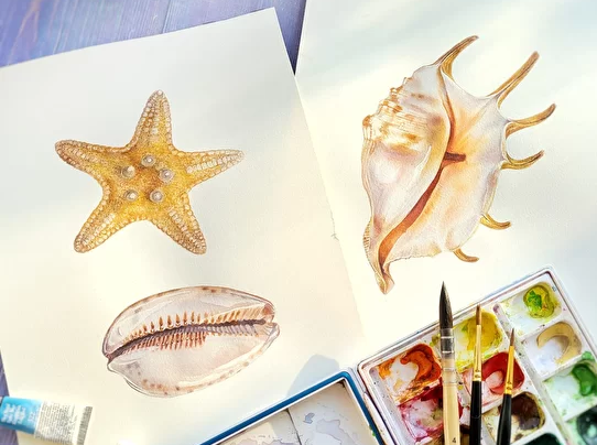 Акварельный мини-курс "Ракушки" (Нина Петровская)