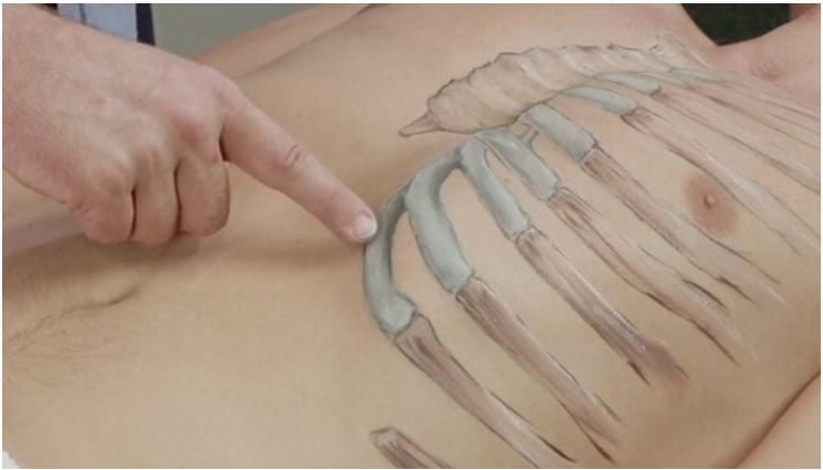 Пальпационная анатомия. Таз, бедро, крестец. Часть 1 из 2 (Марьян Маджицкий)