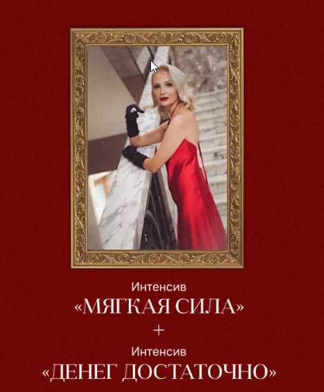 Черная пятница 2023. Мягкая сила + Денег достаточно (Виталина Скворцова-Охрицкая)