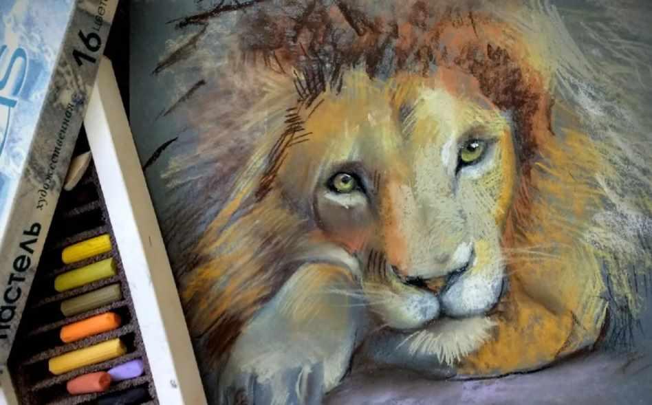 Рисуем животных сухой пастелью - онлайн-курс по рисованию в технике пастели (Егор Матита)