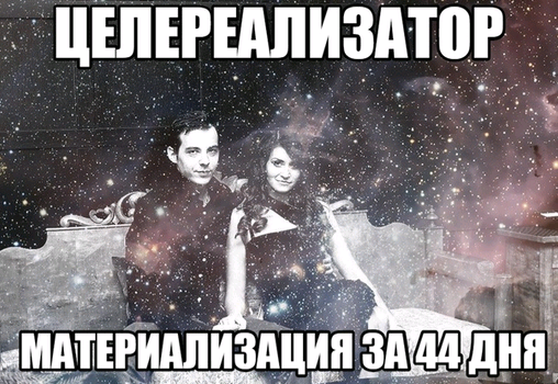 Целереализатор 3.0. Материализация целей за 44 дня (Нико Бауман)
