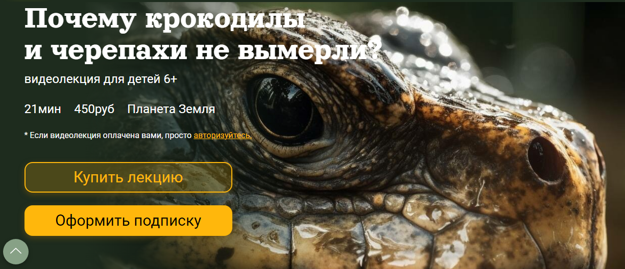 [Детский лекторий] Почему крокодилы и черепахи не вымерли? (Александр Толмачев)