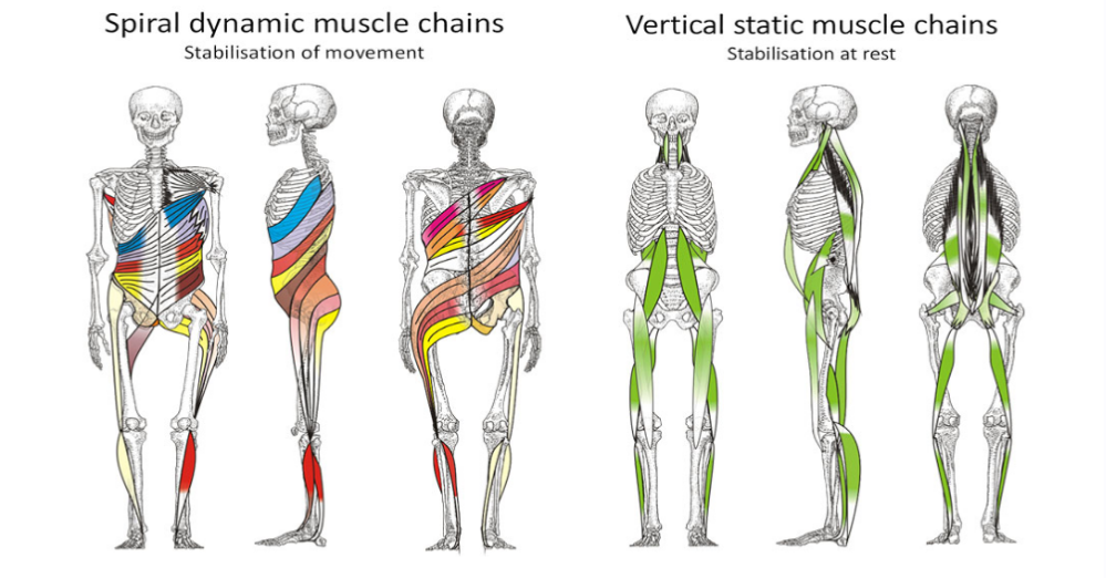 Спиральная стабилизация тела. (Рихард Смишек)