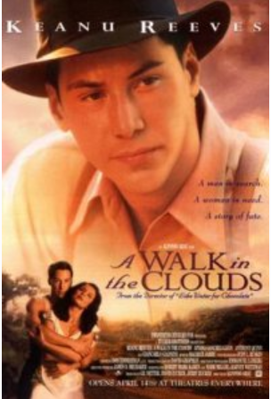 Кинотренинг-онлайн по фильму «Прогулка в облаках» (Ирина Мирошниченко)