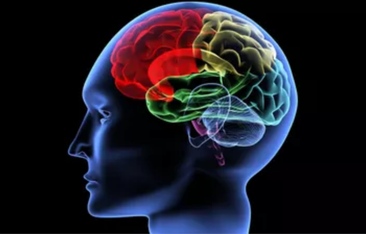 Исцеление нарушения функций работы головного мозга, органов зрения и слуха (Лариса Духновская)