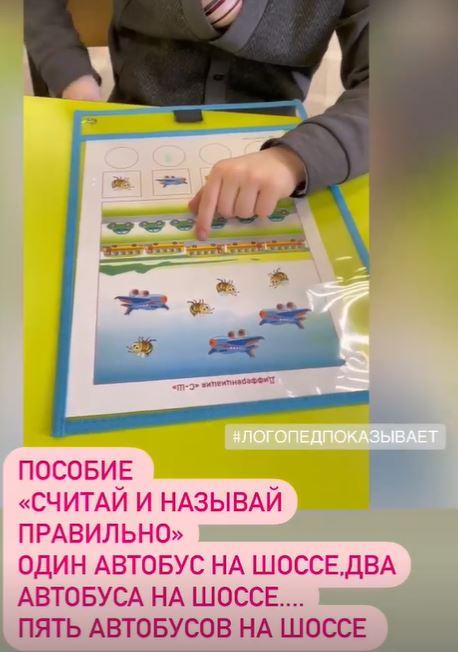 [logoledi_natali_] Логопедическое пособие "Считай и называй" (Наталья Санжаревская)