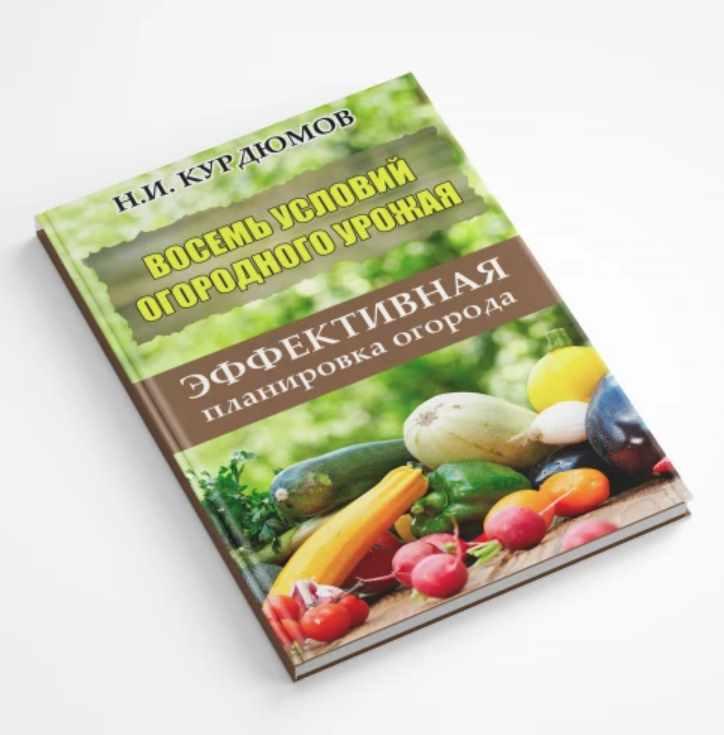 Восемь условий огородного урожая. Седьмое условие: Эффективная планировка огорода (Николай Курдюмов)
