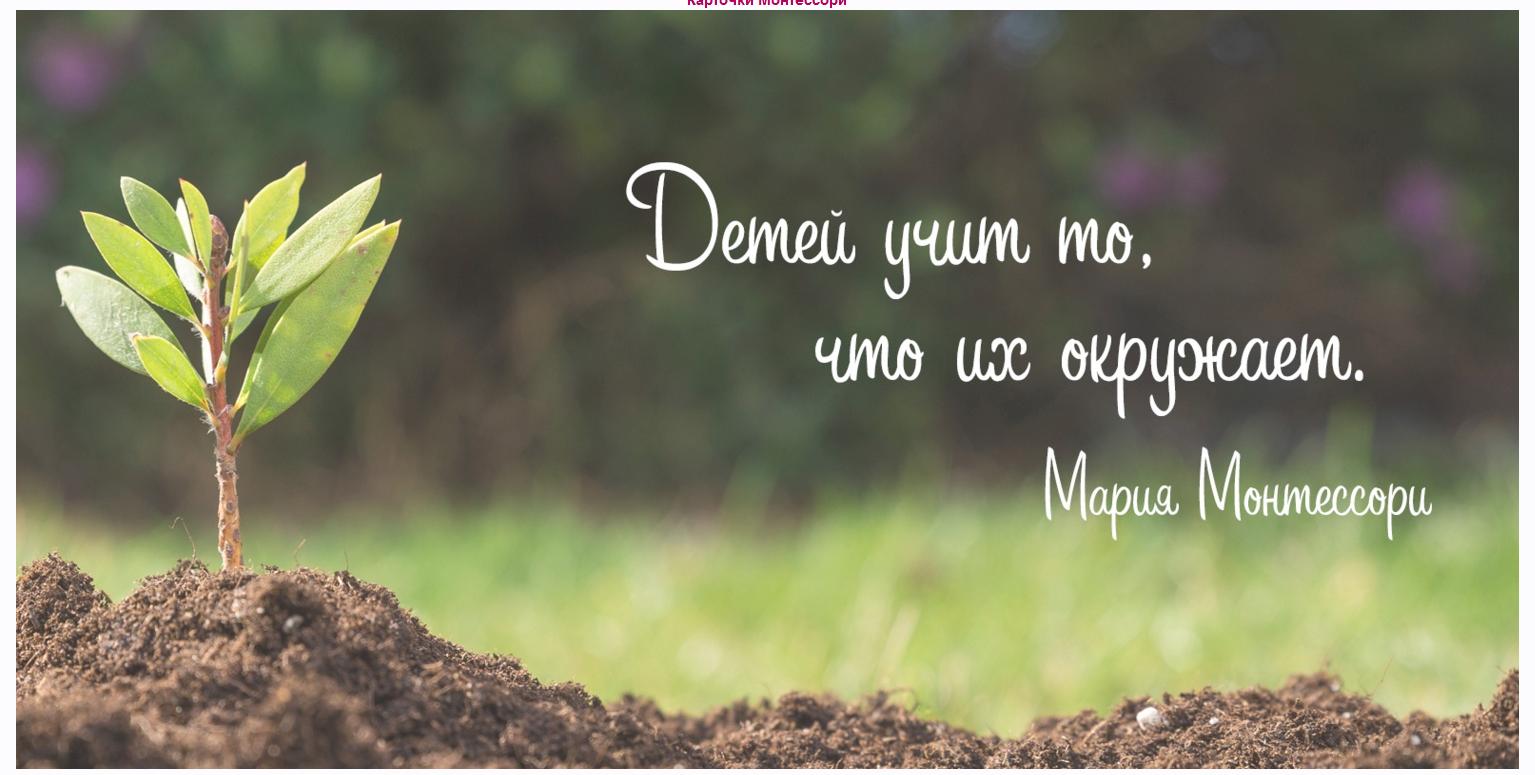 [montessori-print.store] 45 карточек Монтессори для расширения словарного запаса ребёнка