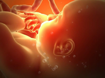 [EduNote] Внутриутробная травма, микропсихоаналитический подход (Милана Исаева)