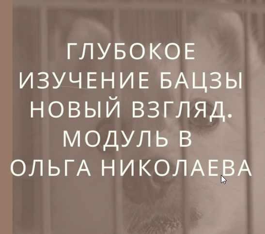 Глубокое изучение астрологии Ба Цзы. Новый взгляд. Модуль B (Ольга Николаева)