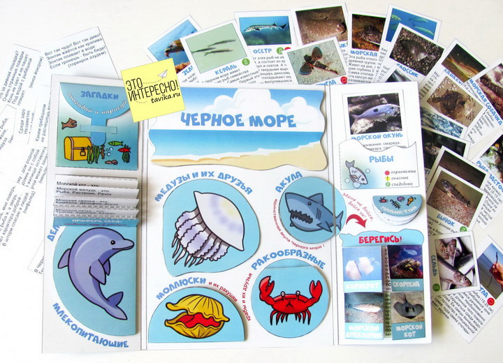 [Lapbook] Шаблон лэпбука Морские жители. Черное море (Татьяна Пироженко)