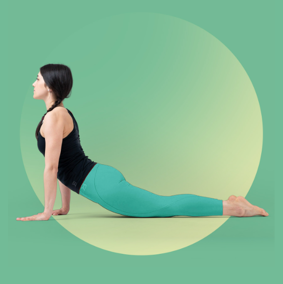 Силовая с элементами МФР для рельефной спины и здоровой осанки (Вероника Ахмедова)