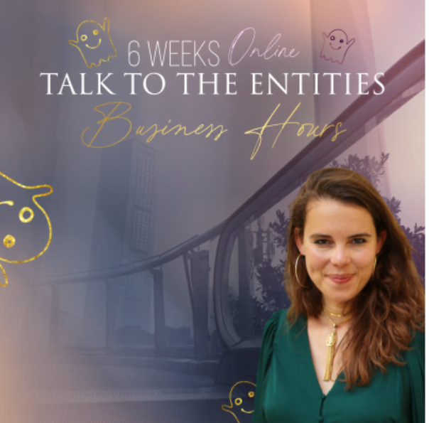 [Access Consciousness] Разговор с сущностями - Рабочее время. 1/3 часть | Talk To The Entities Business Hours (Ясодара Ромеро Фернандес)