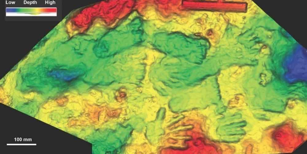 [Архэ] Итоги 2021 года в антропологии (Станислав Дробышевский)
