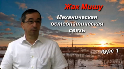 Механическая Остеопатическая Связь. Курс 1 (Жак Мишу)