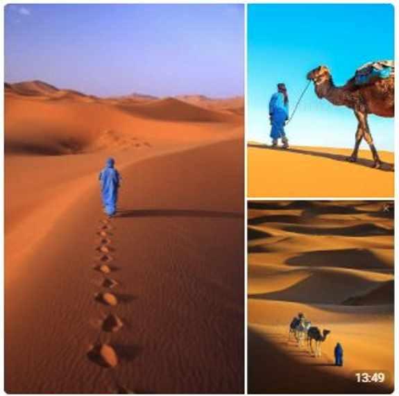 Восток. Масло (Виталий Антипин)