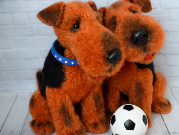 Мастер-класс "Эрдель" (Юлия Оголь)