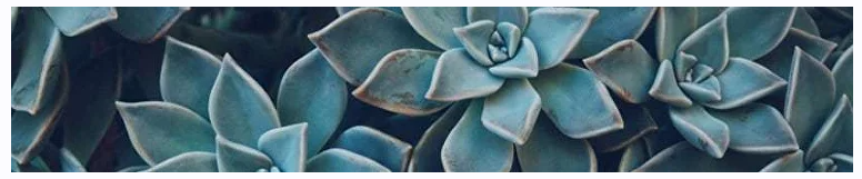 [Gastrosmile] Желудок – ты как? (Венера Хабирова)