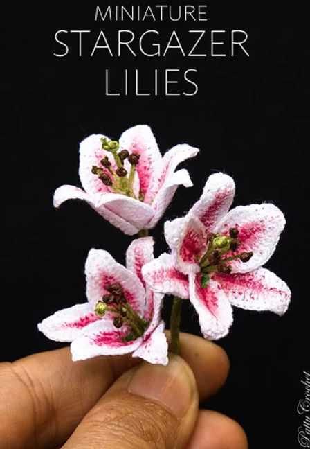 Mini Stargazer Lily/Мини-Звездочет Лили (HappyPattyCrochet)