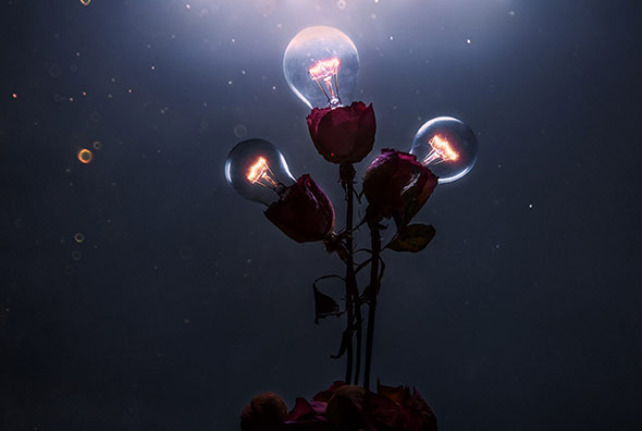 Артфотография (Антон Шевченко)