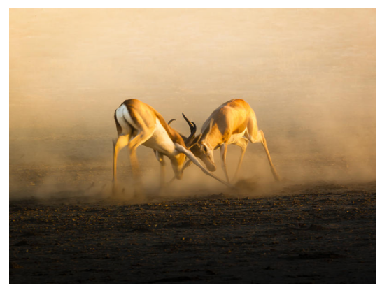 [EduNote] Работа с пассивно-агрессивными клиентами в модальности транзактный анализ (Дмитрий Ломыкин)