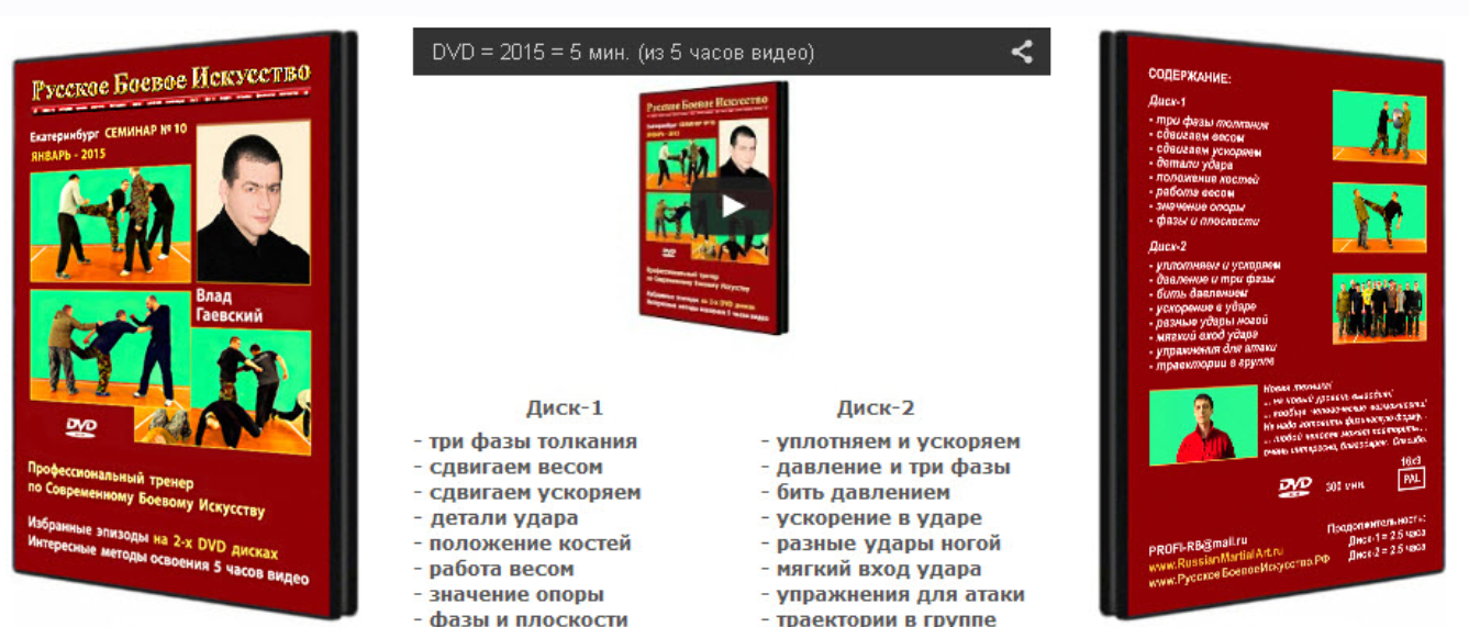 Самооборона для всех. Русское боевое искусство. Десятый семинар (Владислав Гаевский)