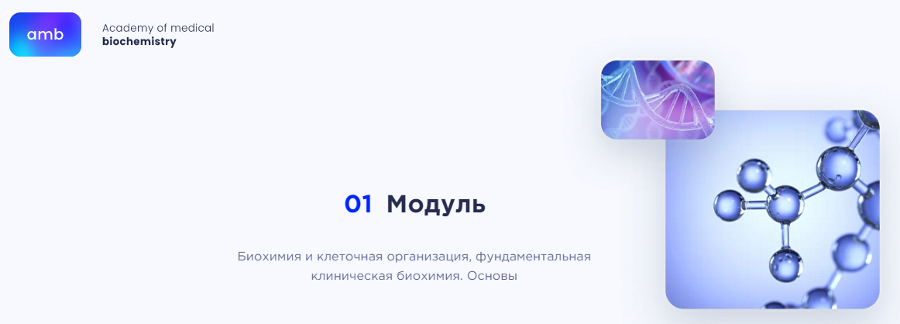 [amb] Основы биохимии. 1 модуль (Елизавета Радевич)