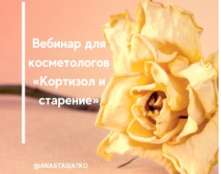 [Semko School] Вебинар для косметологов «Кортизол и старение» (Анастасия Семко)