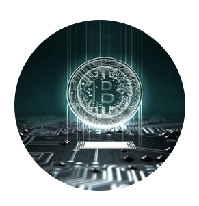 Криптогайд (Наталья Вдовина)