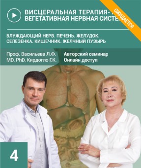 Висцеральная терапия органов брюшной полости (Людмила Васильева, Глеб Кирдогло)