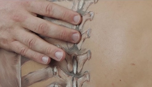 Пальпационная анатомия. Нижняя конечность: бедро, колено, голень, стопа. Часть 2 из 3 (Марьян Маджицкий)