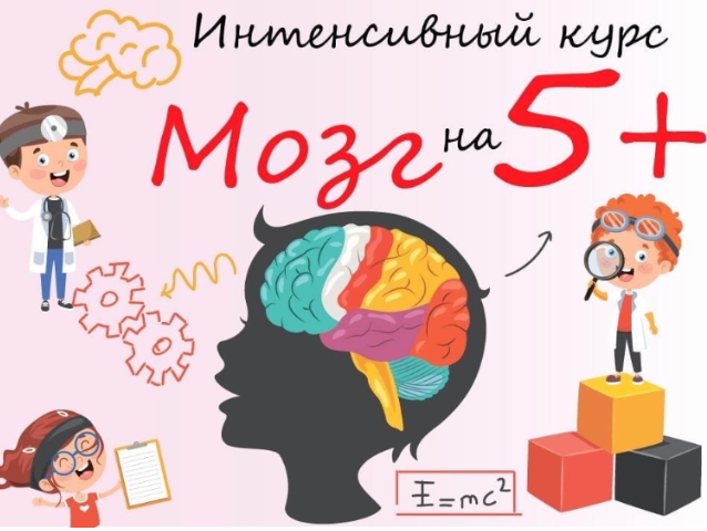 [yeartoschool] Интенсивный курс "Мозг на 5+" (Корнышева Наталья Алексеена)