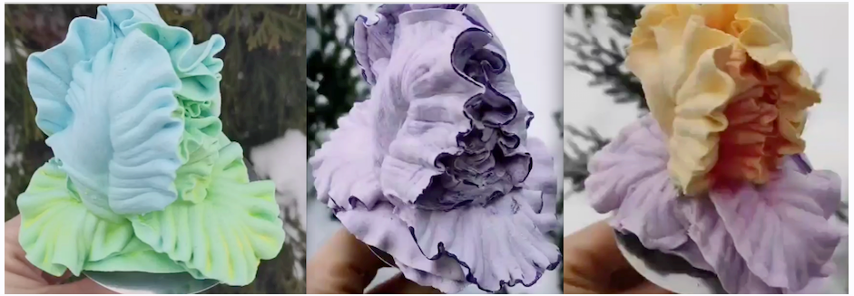 Ирис (Татьяна Забалуева)