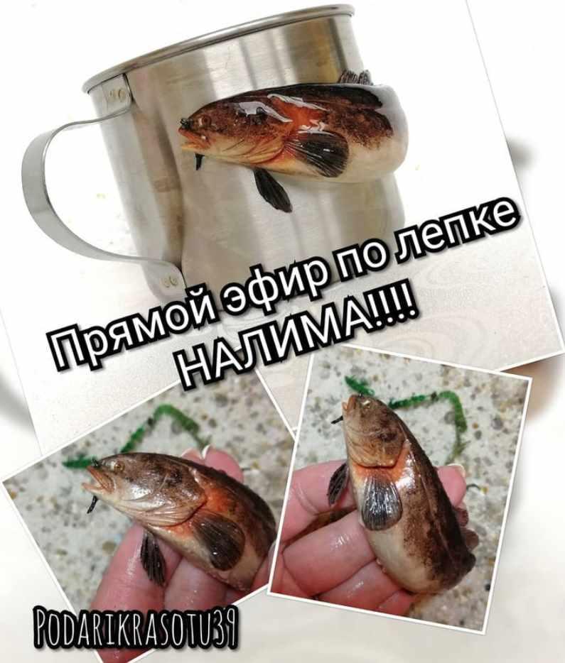 [Лепка] Прямой эфир по лепке налима (лепка на кружке) (Елена Тильзитская)