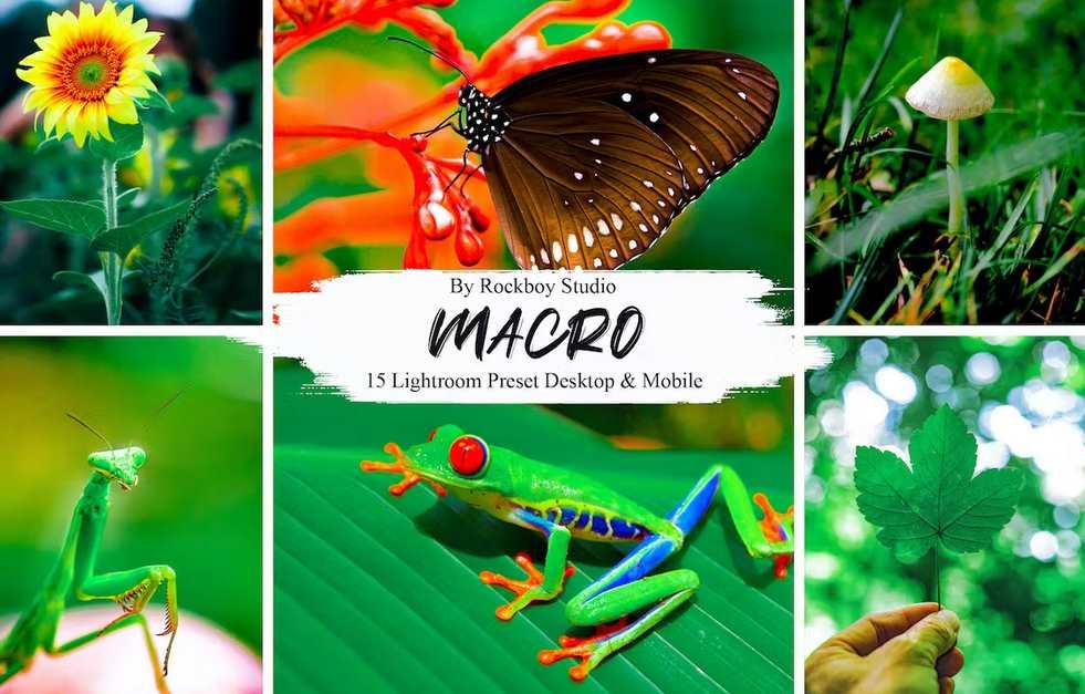 [Envato Market] 15 предустановок макро Lightroom