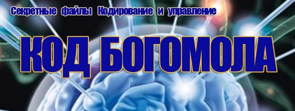 Код Богомола. Секретные файлы кодирования и управления (Инесса Власова)