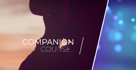 [Udemy] Стоковые фото, генеративный ИИ, видео: как продавать больше картинок. New Anthem Learning